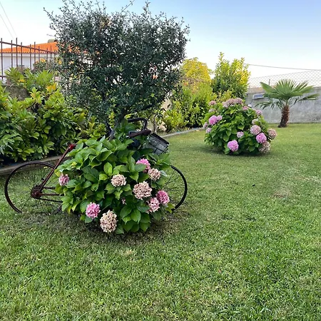 Alojamento, Chelas Rural Al